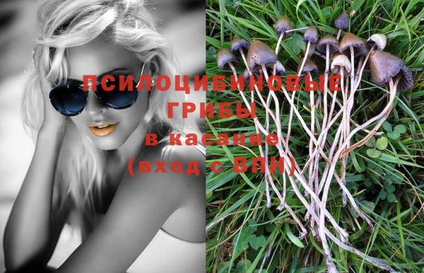 СК Алексеевка